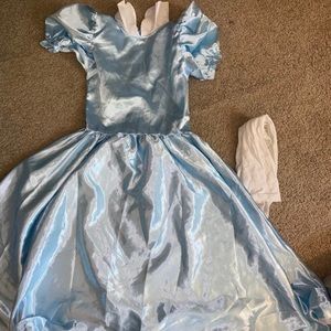 Disney Alice in wonderland costume Halloween